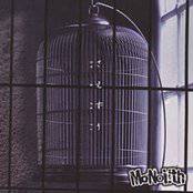 Monolith (JAP) : Saezuri